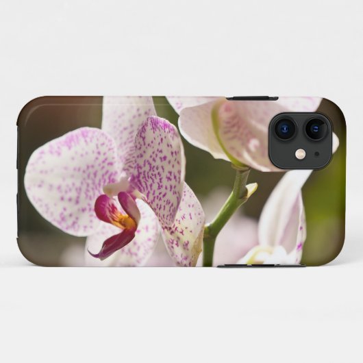 Orchideeën van Shirley Taylor Case-Mate iPhone Case (Achterkant (horizontaal))
