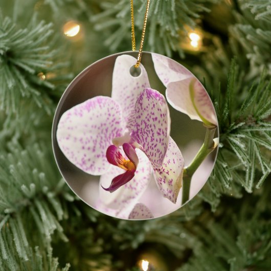 Orchideeën van Shirley Taylor Keramisch Ornament (Boom)
