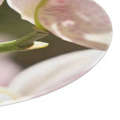 Orchideeën van Shirley Taylor Snijplank (Hoek)