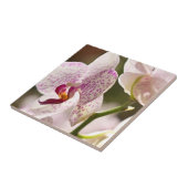 Orchideeën van Shirley Taylor Tegeltje (Zijkant)