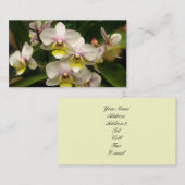 Orchideeën Visitekaartjes (Voorkant / Achterkant)