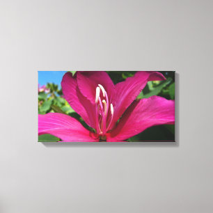 Orchideeënboom Bloesem Tropische Bloemen Canvas Afdruk