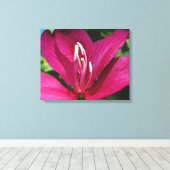 Orchideeënboom Bloesem Tropische Bloemen Canvas Afdruk (Insitu (Houten vloer))