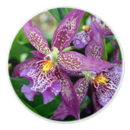 Orchideeëntrekkracht Keramische Knop