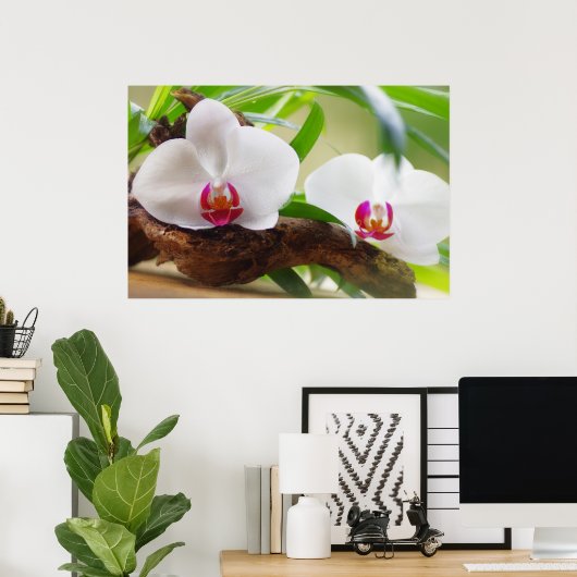 Orchideen Wellness Oase Poster (Thuiskantoor)