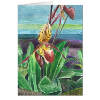 Orchidées