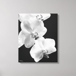Orchidées 16X20 en toile blanche et noire