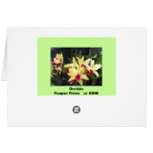 Orchidées 22 (Dos Horizontal)