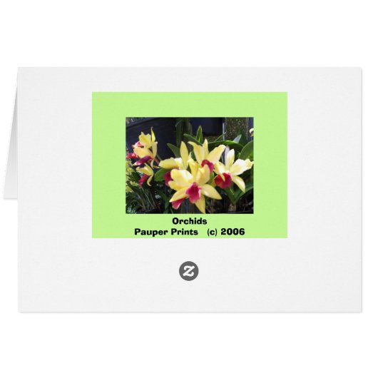 Orchidées 22 (Dos Horizontal)