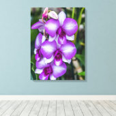 Orchidées blanches et violettes voir impression de (Insitu (Plancher de Bois))