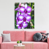 Orchidées blanches et violettes voir impression de (Insitu(Salon))