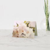 Orchidées blanches merci (Dos)