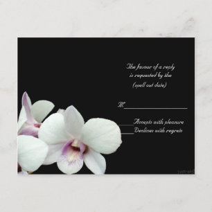 orchidées blanches rsvp