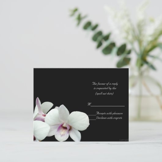 orchidées blanches rsvp (Debout devant)
