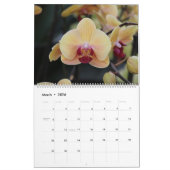 Orchidées, Calendrier des Plantes tropicaux 2022 (Mar 2026)