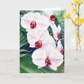 Orchidées, carte de voeux (Fleur jaune)