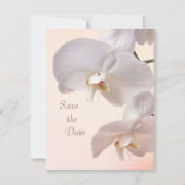 Orchidées crème blanc Save the Date (Devant)
