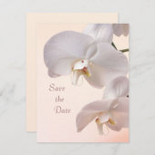 Orchidées crème blanc Save the Date (Devant / Derrière)