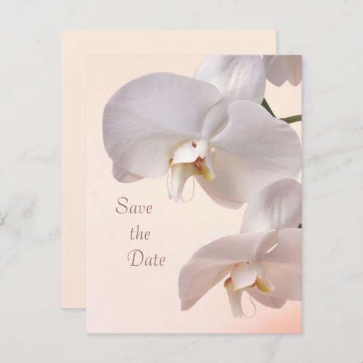 Orchidées crème blanc Save the Date (Devant / Derrière)