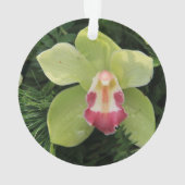 orchidées cymbidium (dos)