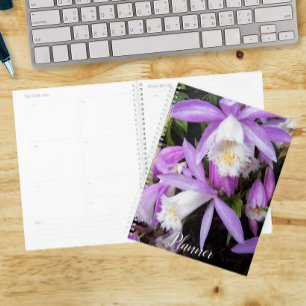 Orchidées de fenêtre Pleione Floral