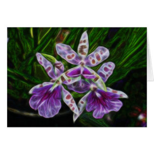 Orchidées de Longwood