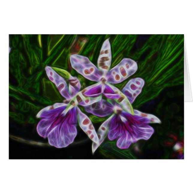 Orchidées de Longwood (Devant horizontal)