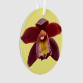 Orchidées de Maroon I Beau Floral Rouge (devant)