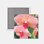 Orchidées de Pêche - Aimant (Recto/Verso)