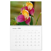 Orchidées du calendrier 2013 de la Colombie (Jan 2026)