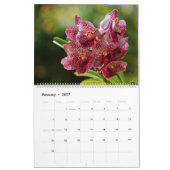 Orchidées du calendrier 2014 de la Colombie (Feb 2027)