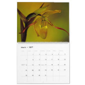 Orchidées du calendrier 2014 de la Colombie (Mar 2027)