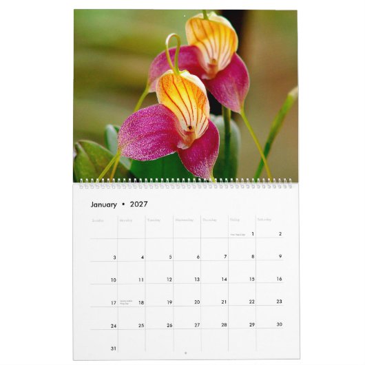Orchidées du calendrier 2014 de la Colombie (Jan 2027)
