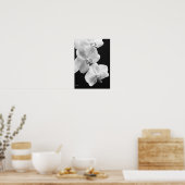 Orchidées en Poster noir et blanc, 24X33.6 (Cuisine)