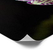 Orchidées en pourpre Poster (Coin)