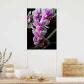 Orchidées en pourpre Poster (Cuisine)