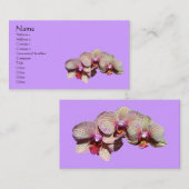 Orchidées fantaisie Carte de visite (Devant / Derrière)