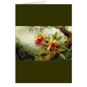 Orchidées jaunes