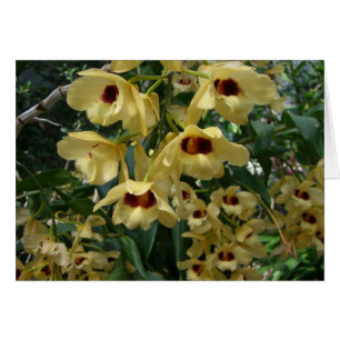 Orchidées Jaunes et Maroon Élégant Floral