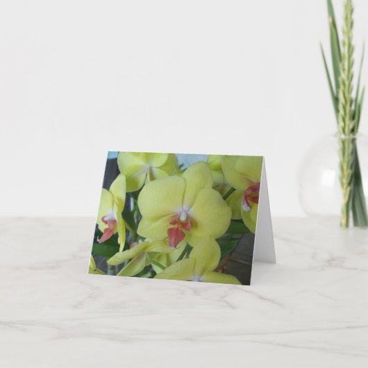 Orchidées jaunes sur un carte pour notes vierge (Devant)