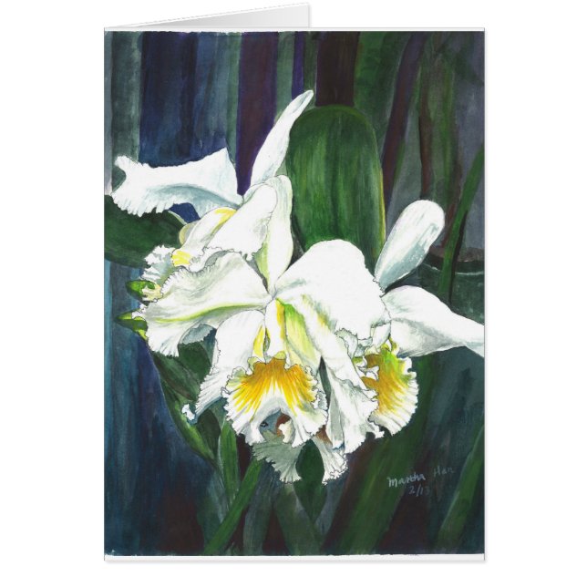 Orchidées magnifiques (Devant)