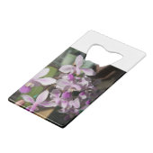 orchidées miniatures (Devant Angle)