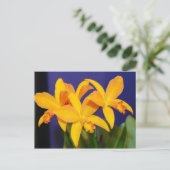 Orchidées orange sur carte postale Arrière - plan (Debout devant)