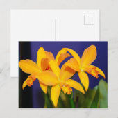 Orchidées orange sur carte postale Arrière - plan (Devant / Derrière)