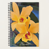 Orchidées Orchidées de Laeliocattleya Orange Flora (Devant)