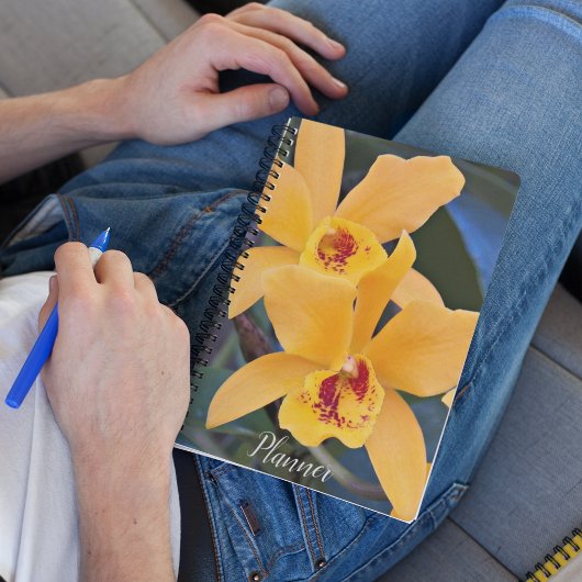 Orchidées Orchidées de Laeliocattleya Orange Flora