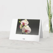 Orchidées roses blanches Merci Maman pour mon Mari (Dos)