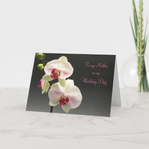 Orchidées roses blanches Merci Mère pour mon Maria