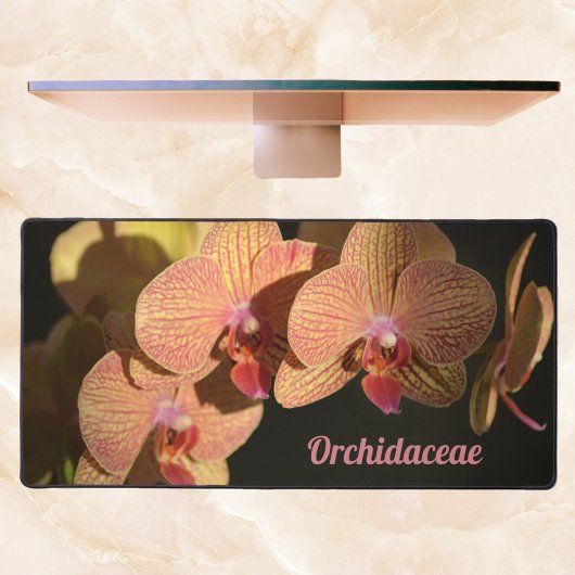 Orchidées roses de corail spectaculaire personnali