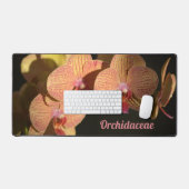 Orchidées roses de corail spectaculaire personnali (Clavier et souris)
